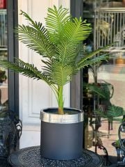 Yapay Arekalı Saksı No:2