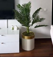 Yapay Arekalı Saksı No:3