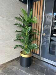 Yapay Arekalı Saksı