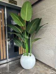 Yapay Premium Starliçeli Beyaz Top Saksı