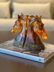 At Kitap Tutucu/Amber