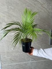 Yapay Bitkili Teneke Vazo No:1 (OUTLET)