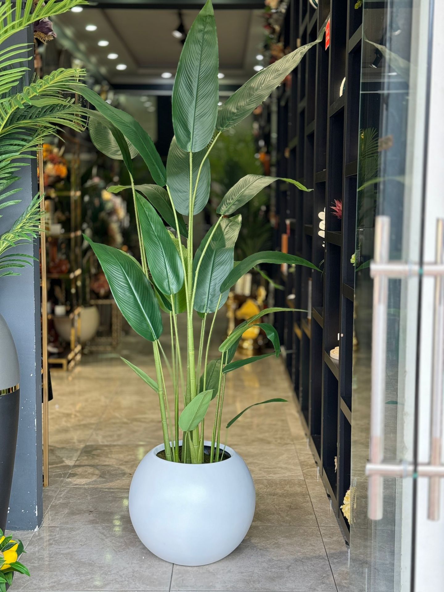 Yapay Starliçeli  Top Saksı No:5