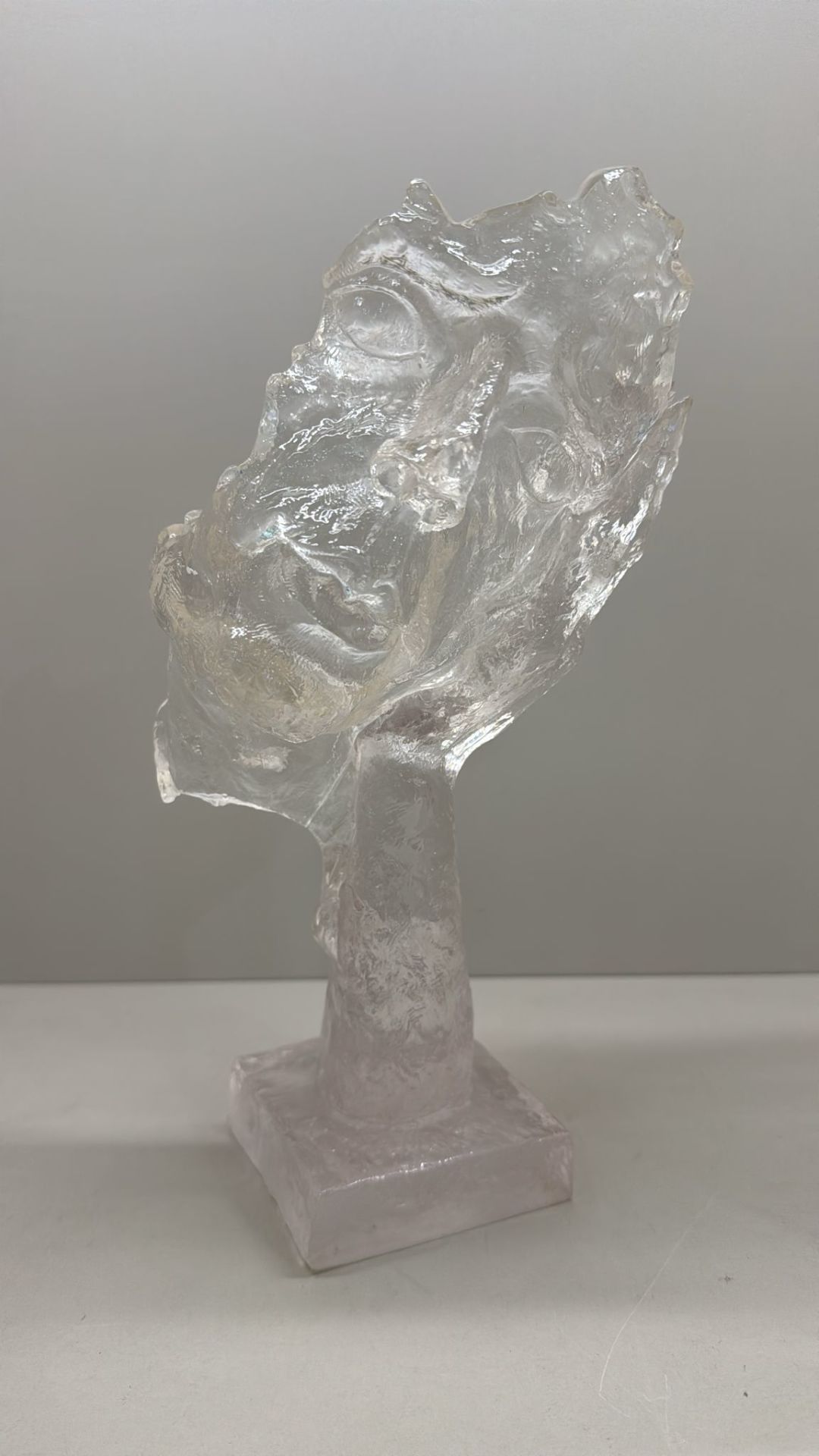Şeffaf Maske Dekor