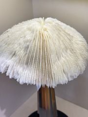 Kristal Kaideli Doğal Mercan Dekor Amber