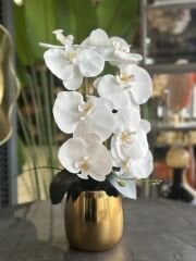 Gold Metal Vazolu Tek Dal Orkide No:6