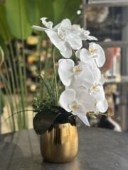 Gold Metal Vazolu Tek Dal Orkide No:6