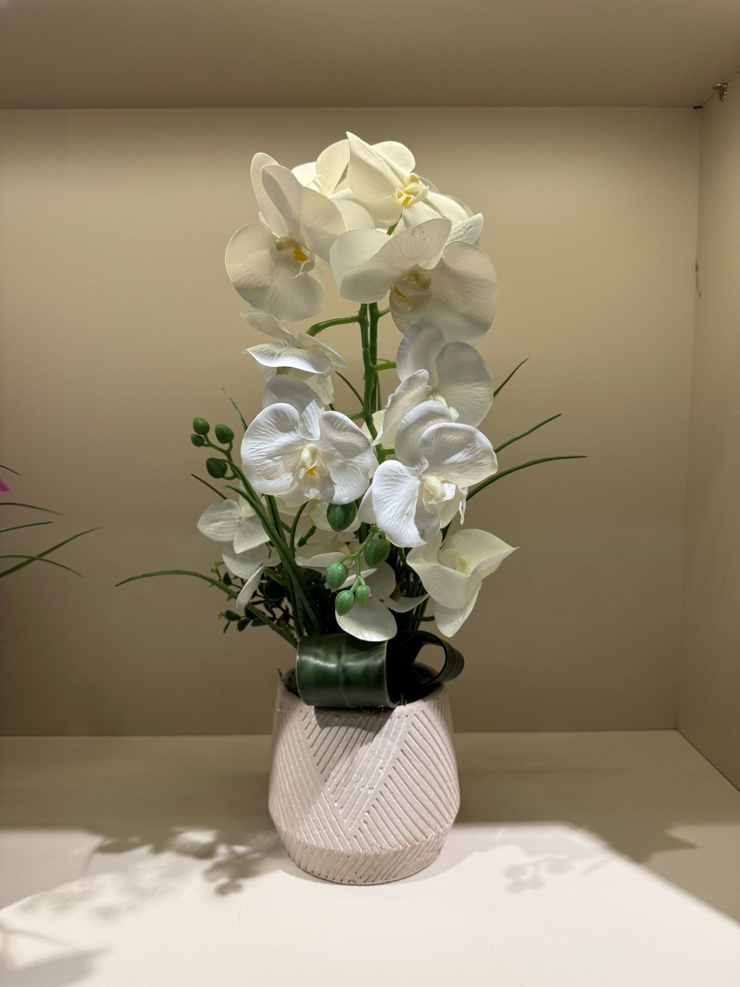 Orkideli Beton Saksı No:2