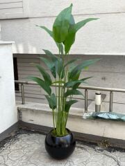 Yapay 20 Yaprak Starliçeli Siyah Top Saksı