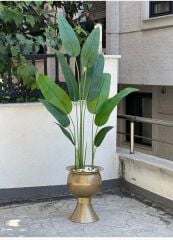 Yapay Starliçeli Darbuka Saksı Gold