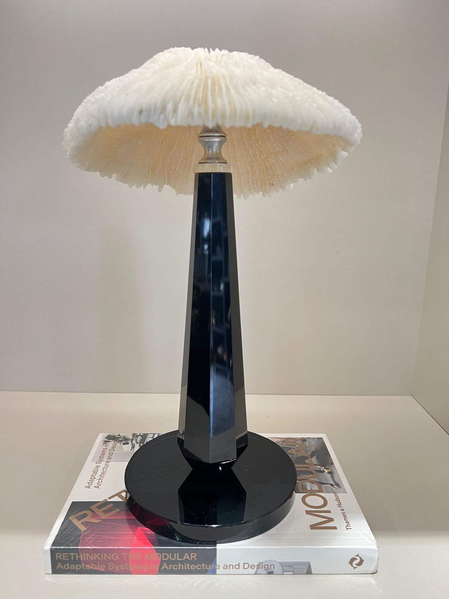 Kristal Kaideli Doğal Mercan Dekor Siyah