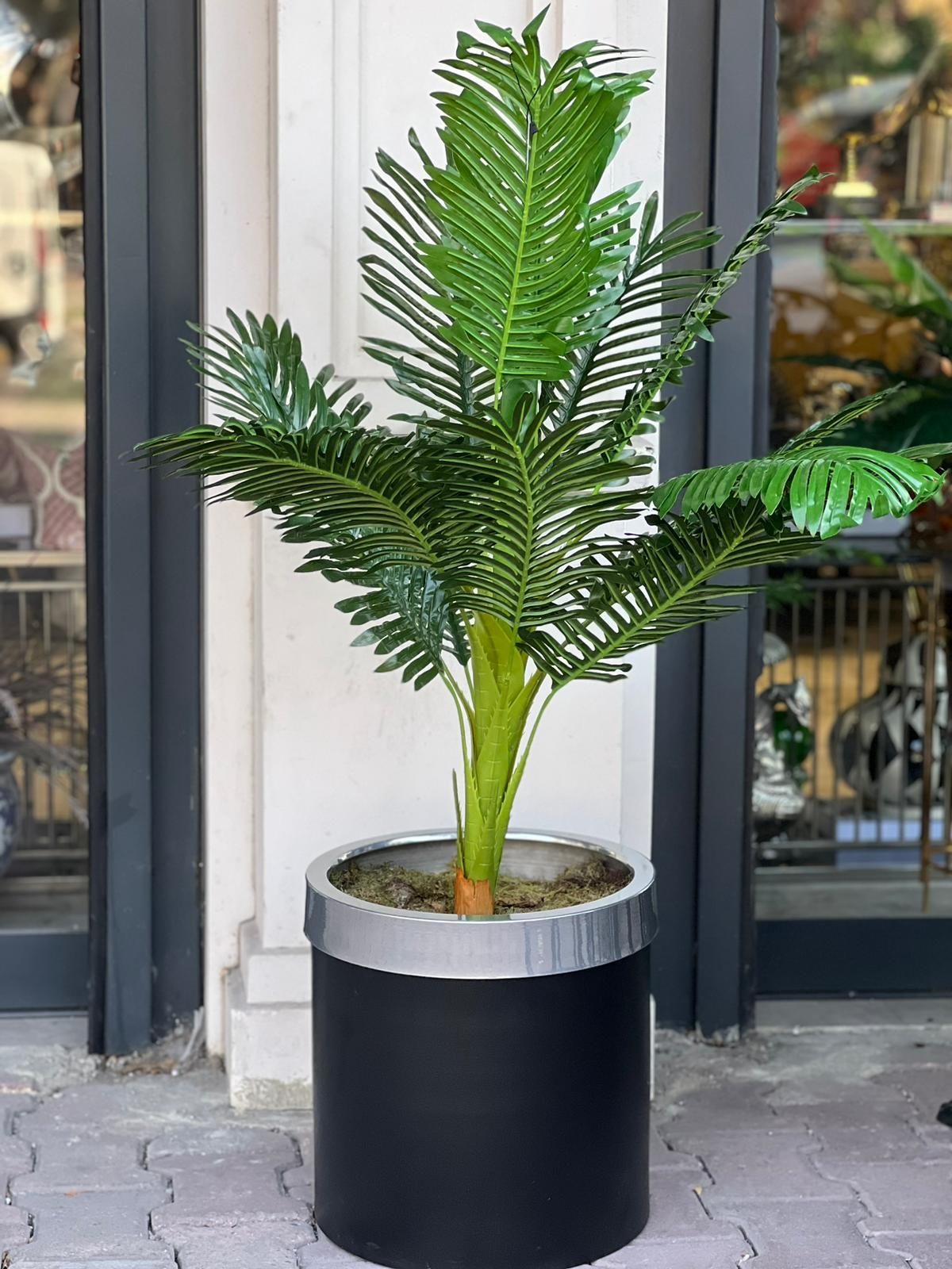 Yapay Arekalı Siyah Gümüş Saksı