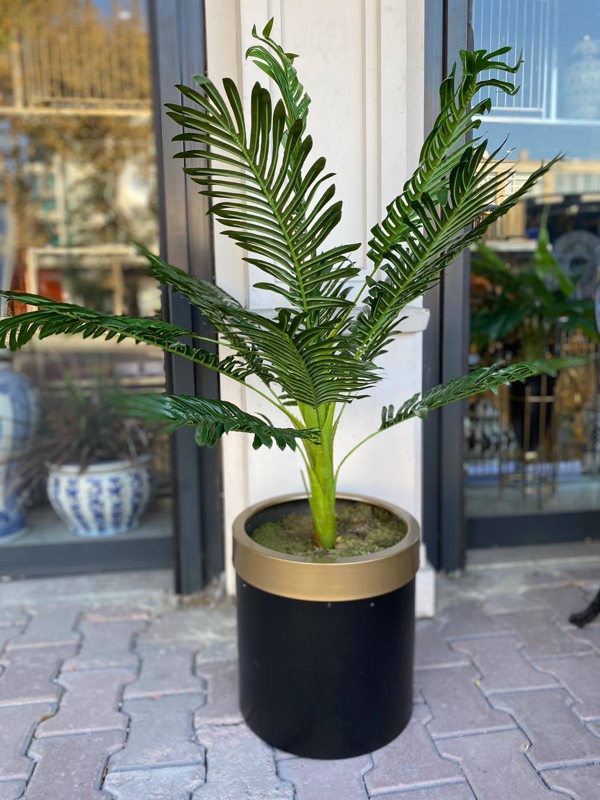 Yapay Arekalı Siyah Gold Saksı