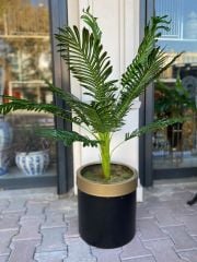 Yapay Arekalı Siyah Gold Saksı